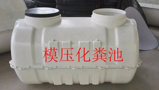 �����ģ�����S��